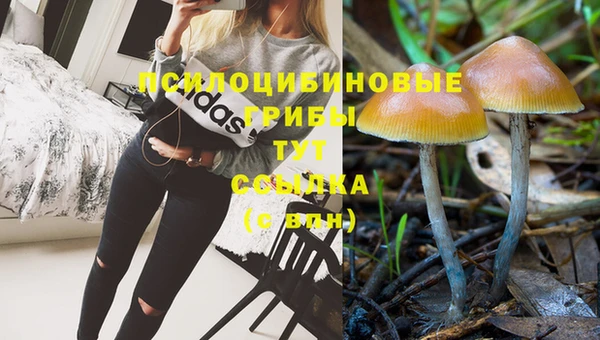 молекула духа Горно-Алтайск