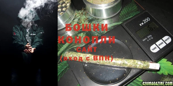 молекула духа Горно-Алтайск
