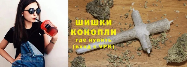 молекула духа Горно-Алтайск