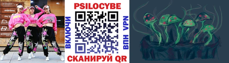 Купить закладки  Великие Луки  Псилоцибиновые грибы Psilocybine cubensis 